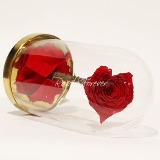 Rose éternelle en forme de coeur sous cloche; CHF 145