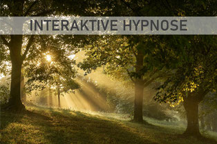 Interaktive Hypnose bei Stephanie Konkol
