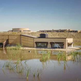 St. Martins wetland photo hide