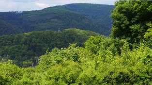 Ausblick von der Juval Alp