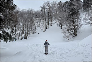 白の森を歩いて静かな湖畔に向かう。色と音が抑えられた空間で自分を感じる時間。