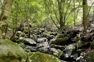 沢の岩に一人で座るー森の中のマインドフルネスの体感