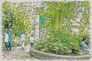 緑あふれるスペースを歩く参加者 ― 日常を離れて自然との触れ合いを感じる時間