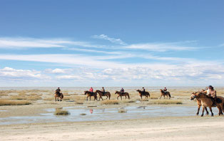 équitation-activités-nature-chevaux-baie-de-somme-picardie-hauts-de-france