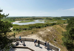 dunes-parc-marquenterre-nature-baie-de-somme-picardie-hauts-de-france