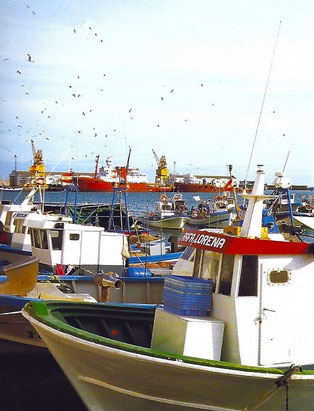 Puerto de Burriana: Cuenta con una escuela de mar, club náutico y una lonja de pescado muy activa.