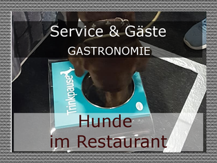 Hunde in Restaurants