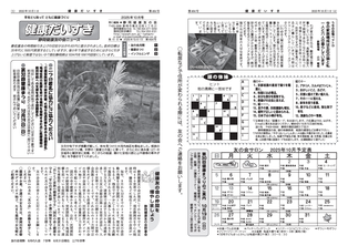 健康だいすき
