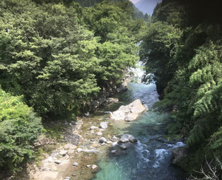 自然いっぱい郡上八幡清流吉田川