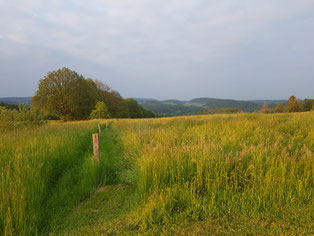 (Dein Ausblick am neuen Yogaplatz)