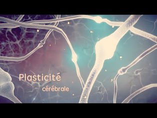 Sophrologie, musicothérapie, plasticité cérébrale et mieux-être