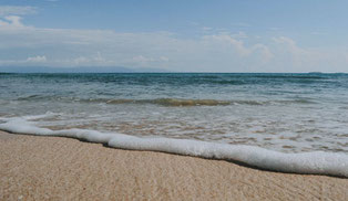 homophones grammaticaux plage