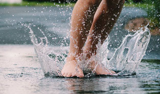 homophones grammaticaux pluie