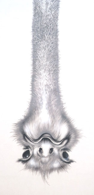Vogel-Strauß-Taktik, Kopf in den Sand, Augen zu und abwarten