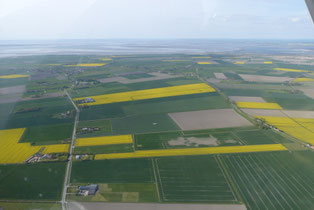 Nordstrand von oben mit leuchtenden Rapsfeldern