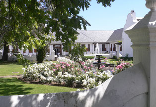 Bild: Weingut in Stellenbosch