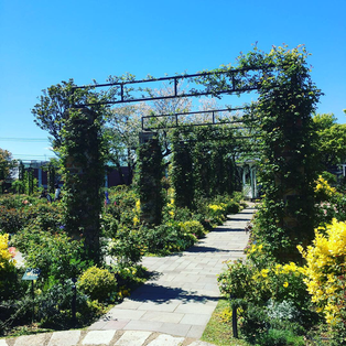 秘密の花園みたいなアーチ♪