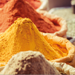 Ayurveda Dosha Bio Gewürzmischungen