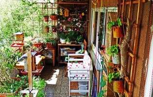 Naturnaher Balkon © Viktor Oswald