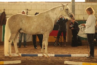 2. Platz Ghazal ait Azzayani