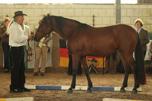 2. Platz Ouled Zayanne