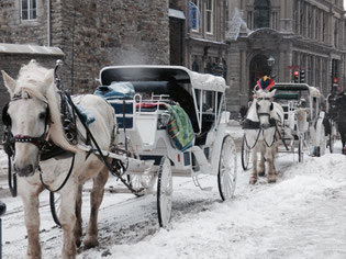 Une calèche pour découvrir le Vieux-Montréal