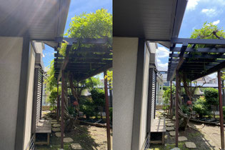多摩市で剪定する植木屋「纏造園」