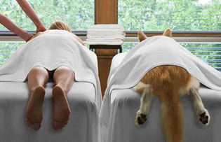 massage-canin-37