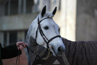 Photo N.Hervé