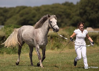 Teresa âgée de 3ans lors du Régional Connemara.