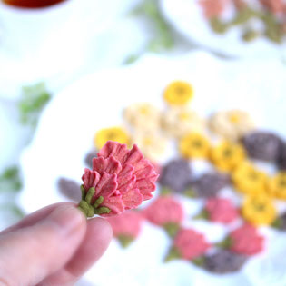 福井あんこのお花クッキーレッスン開催中！福井県