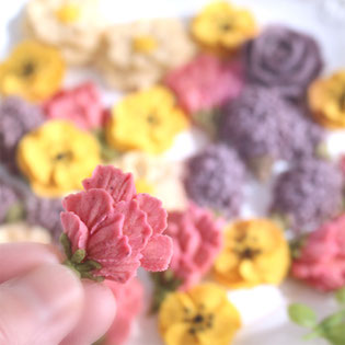 福井あんこのお花クッキーレッスン開催中！福井県あんこのお花教室,福井県福井市あんフラワー資格取得