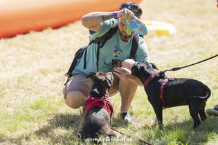 CANIDEPLOUF TOULOUSE photo canin et chiens