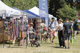 different stand canin au canideplouf