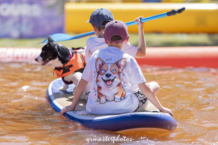 Canideplouf 2026 photographe canin toulouse