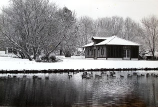 Photo de la ferme landaise, le petit lac et les canards sous la neige.
