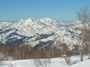 木々もまばらになると西方に越前甲~加賀大日山が