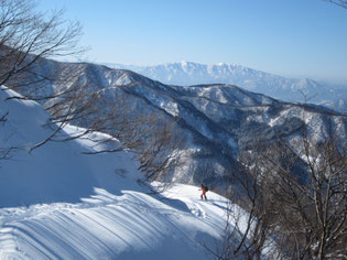 急斜面は林道を利用して登行 遠くに部子山~銀杏峰