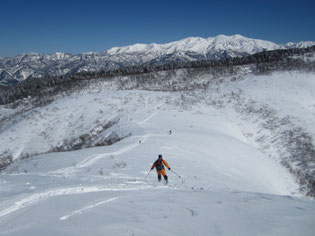 白山を正面に取立平に滑り込みます