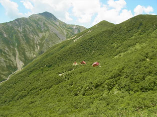 やっと荒川小屋と赤石岳が見えてきました