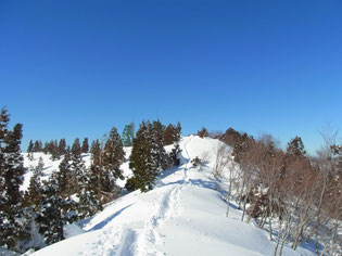やってきました護摩堂山(1,152.4m)山頂。あと少しガンバ