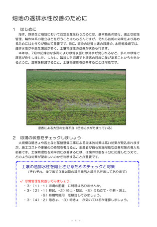 渠　暗渠パイプ　暗渠管　暗渠とは　農地の表面水　水たまり　田面排水　暗渠のやり方　格安暗渠パイプ　どうする暗渠　田んぼの水たまり