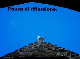 Pausa, di Eleonora Cod.13