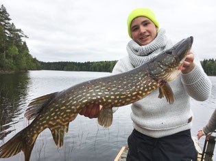 fischen in Schweden
