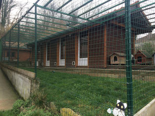 ecole du chat neuvecelle haute savoie refuge jardin