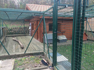 ecole du chat neuvecelle haute savoie  refuge jardin