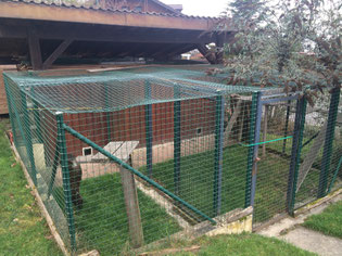 ecole du chat neuvecelle haute savoie refuge jardin