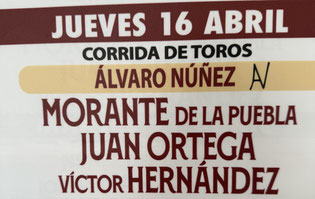 Toros d'Alvaro Nuñez pour Morante, Juan Ortega et Victor Hernandez