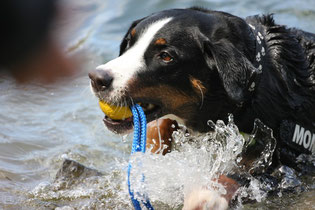 waterball