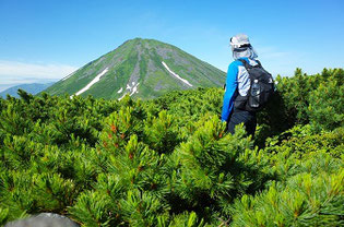 オプタテシケ山を北側から